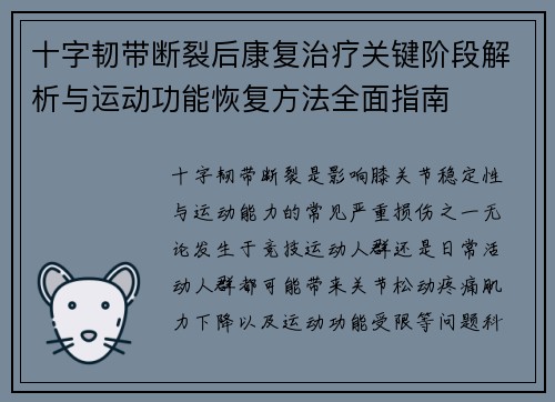 十字韧带断裂后康复治疗关键阶段解析与运动功能恢复方法全面指南 十字韧带断裂后康复治疗关键阶段解析与运动功能恢复方法全面指南